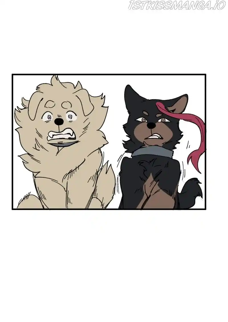 Read LUMINE Manga Online