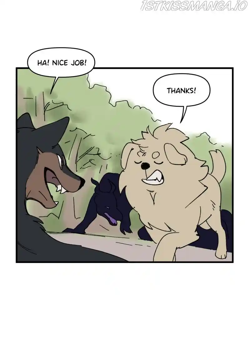 Read LUMINE Manga Online