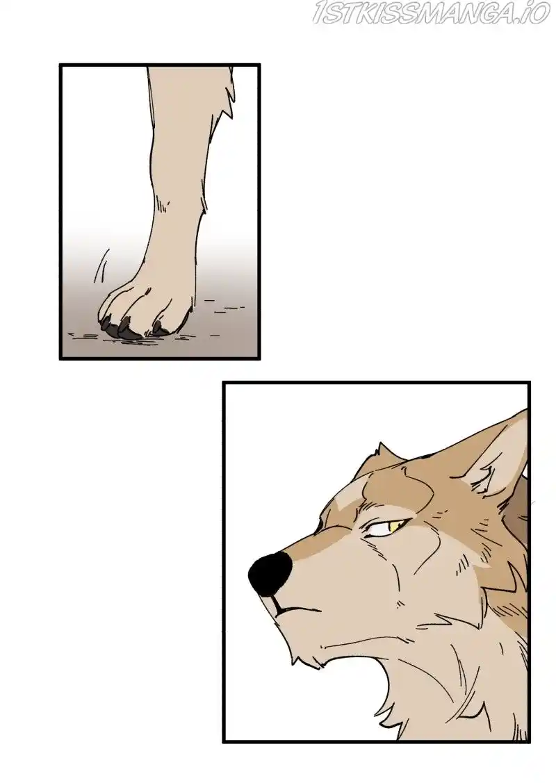 Read LUMINE Manga Online