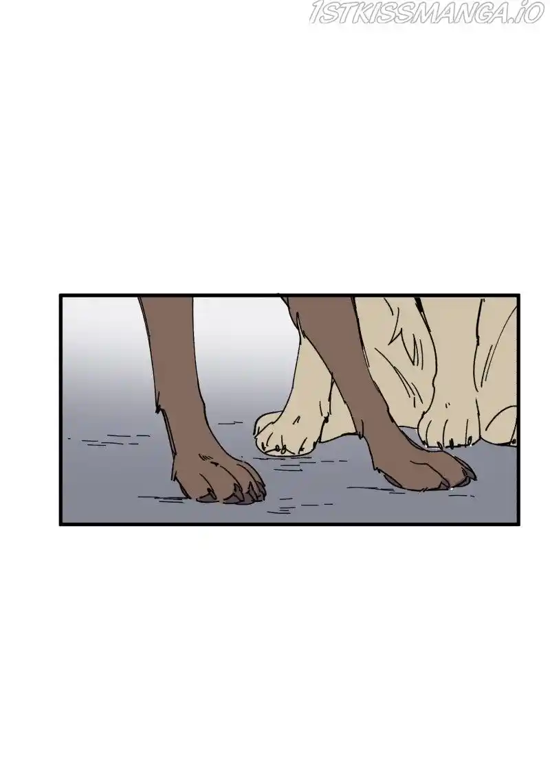 Read LUMINE Manga Online