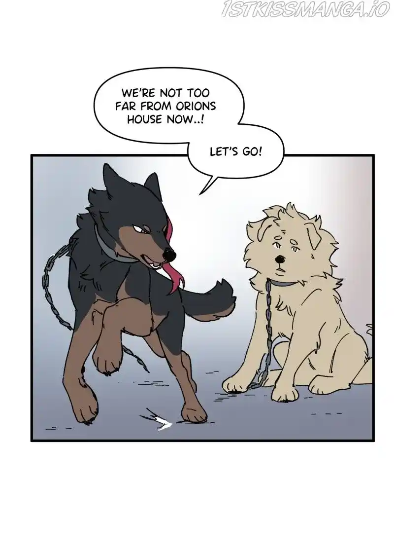 Read LUMINE Manga Online