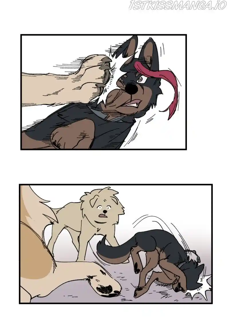 Read LUMINE Manga Online