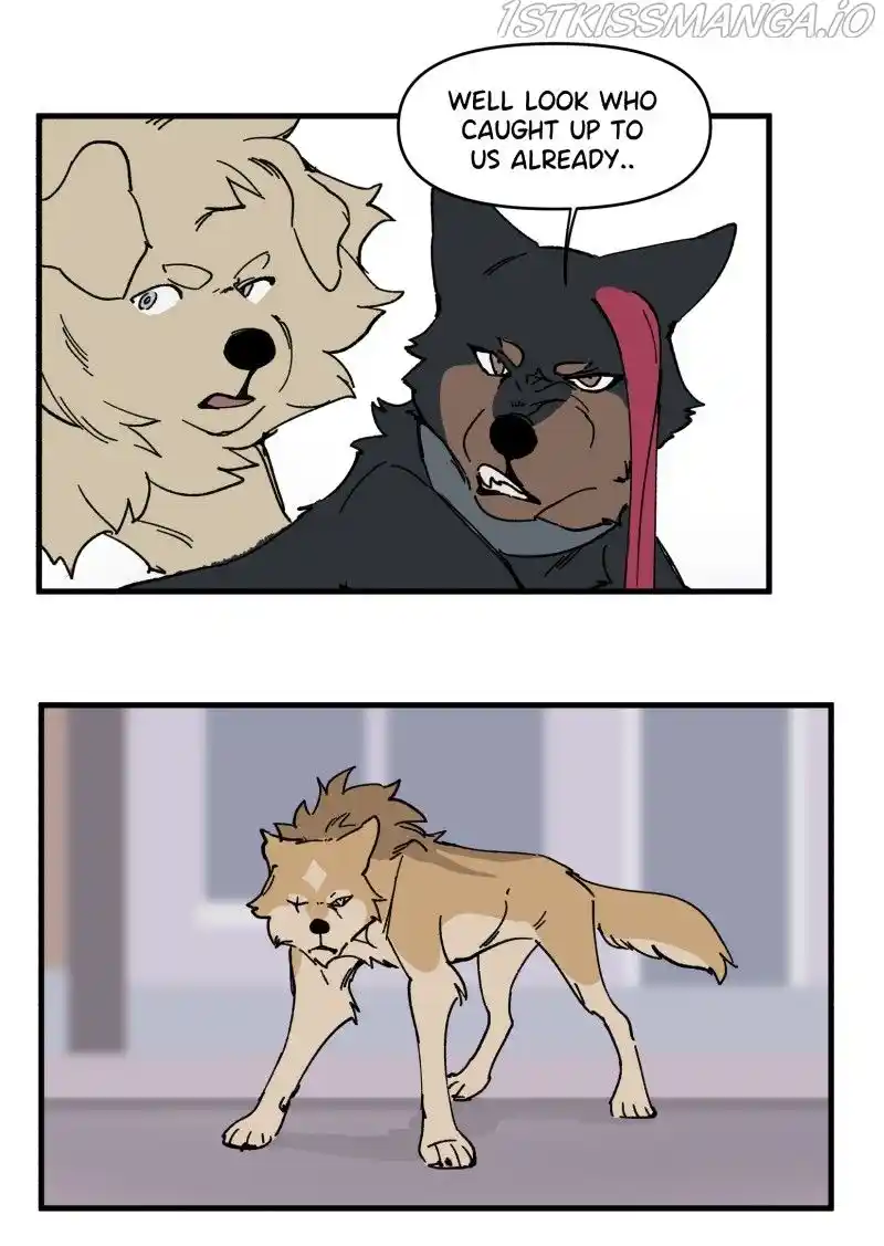 Read LUMINE Manga Online