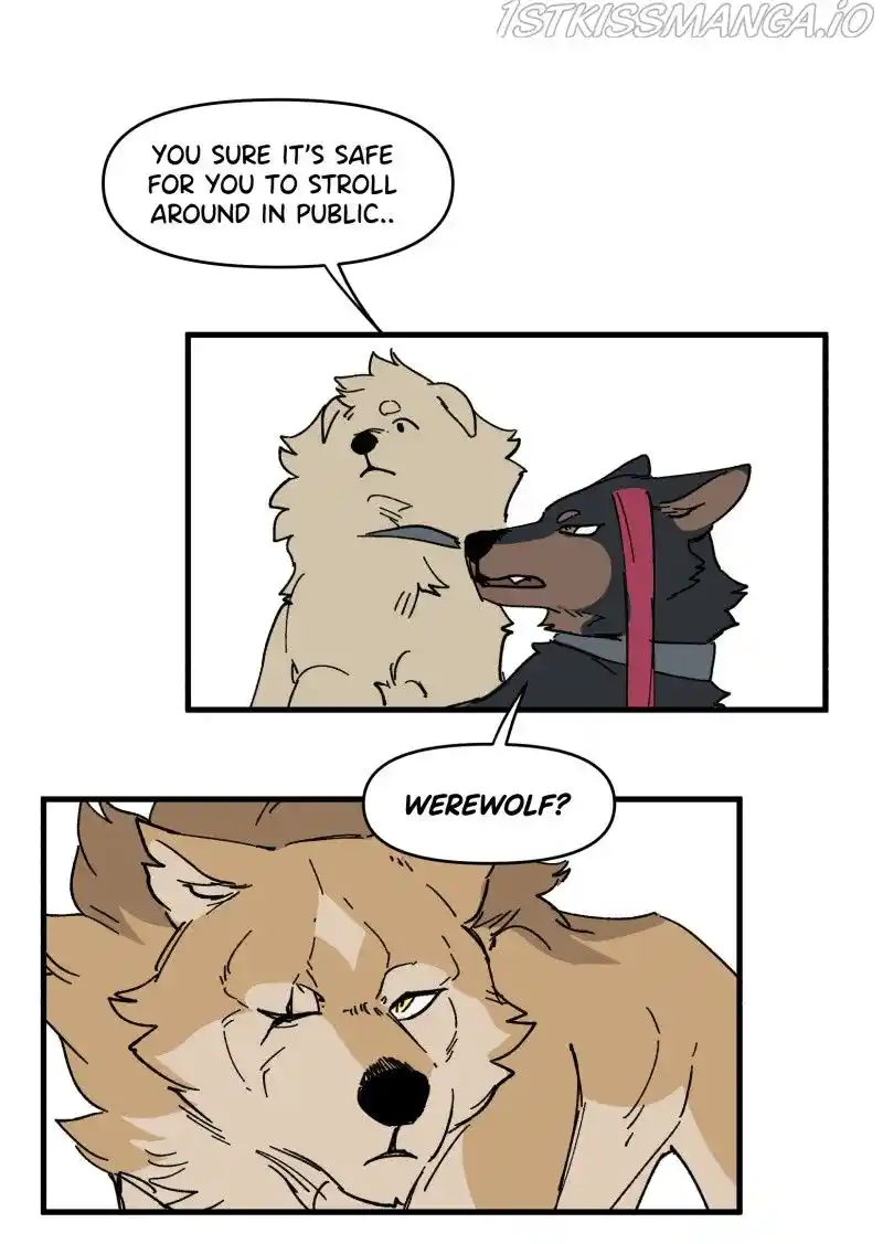 Read LUMINE Manga Online