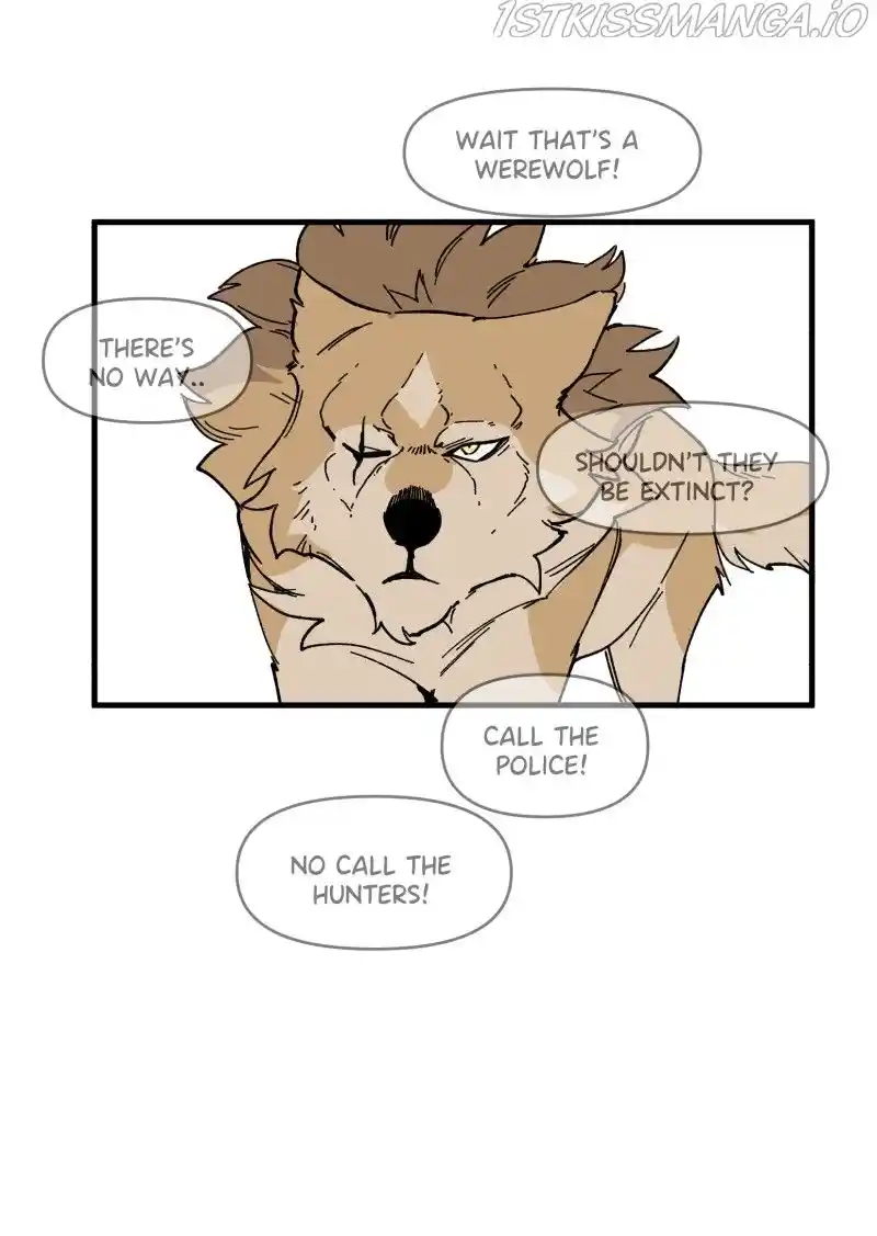 Read LUMINE Manga Online