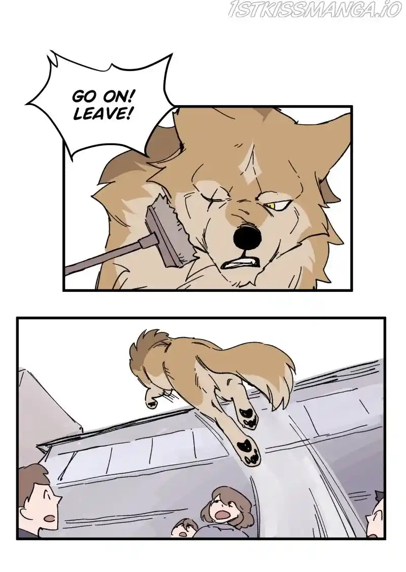 Read LUMINE Manga Online