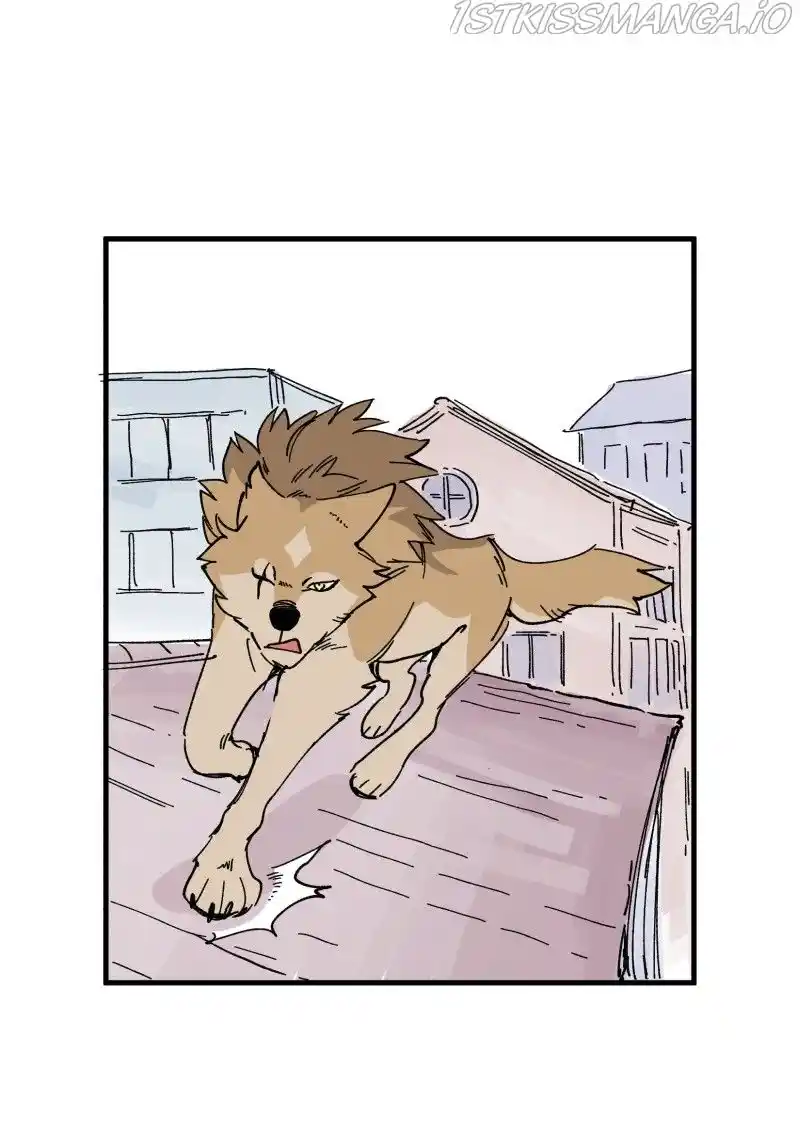 Read LUMINE Manga Online