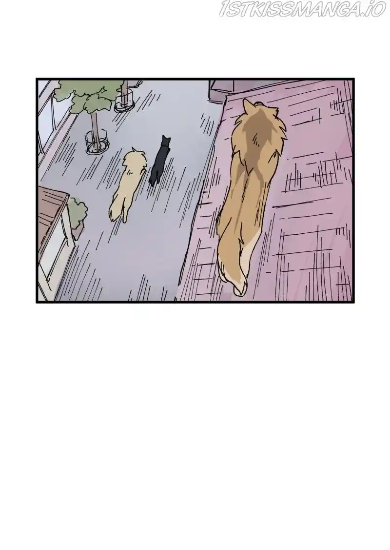 Read LUMINE Manga Online