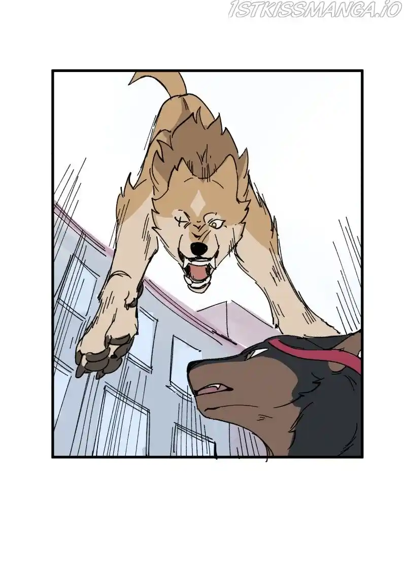 Read LUMINE Manga Online