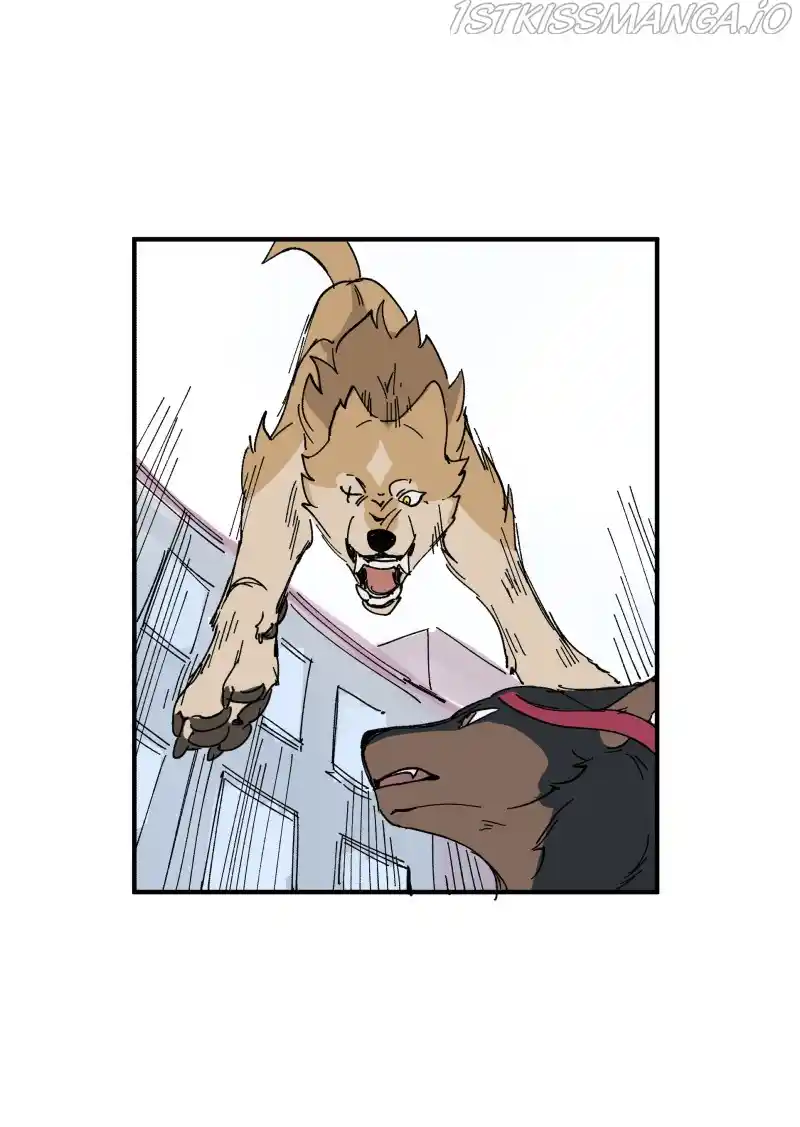 Read LUMINE Manga Online