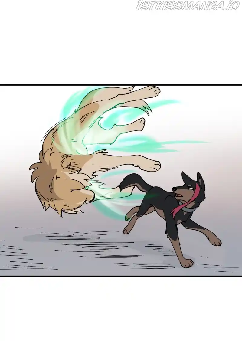 Read LUMINE Manga Online