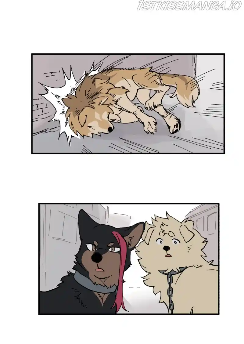 Read LUMINE Manga Online