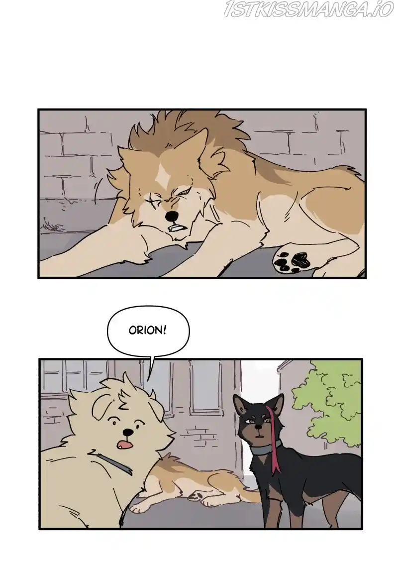 Read LUMINE Manga Online