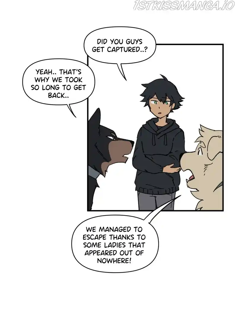 Read LUMINE Manga Online