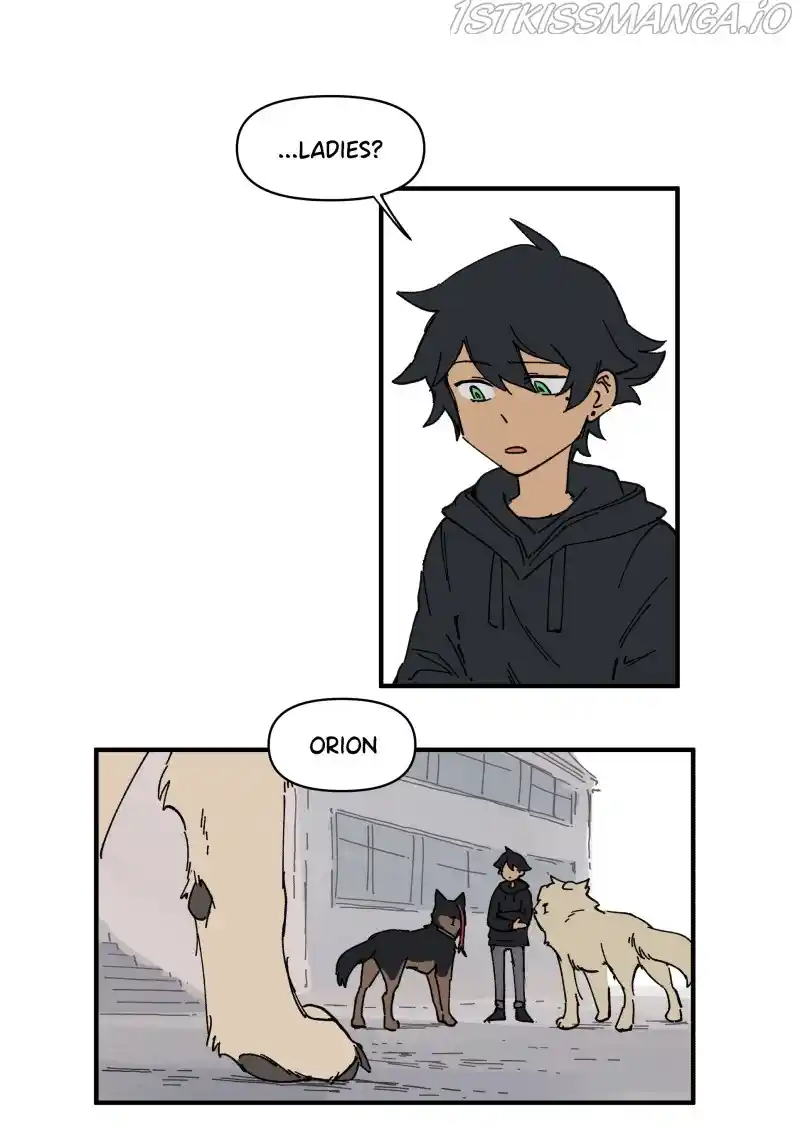 Read LUMINE Manga Online