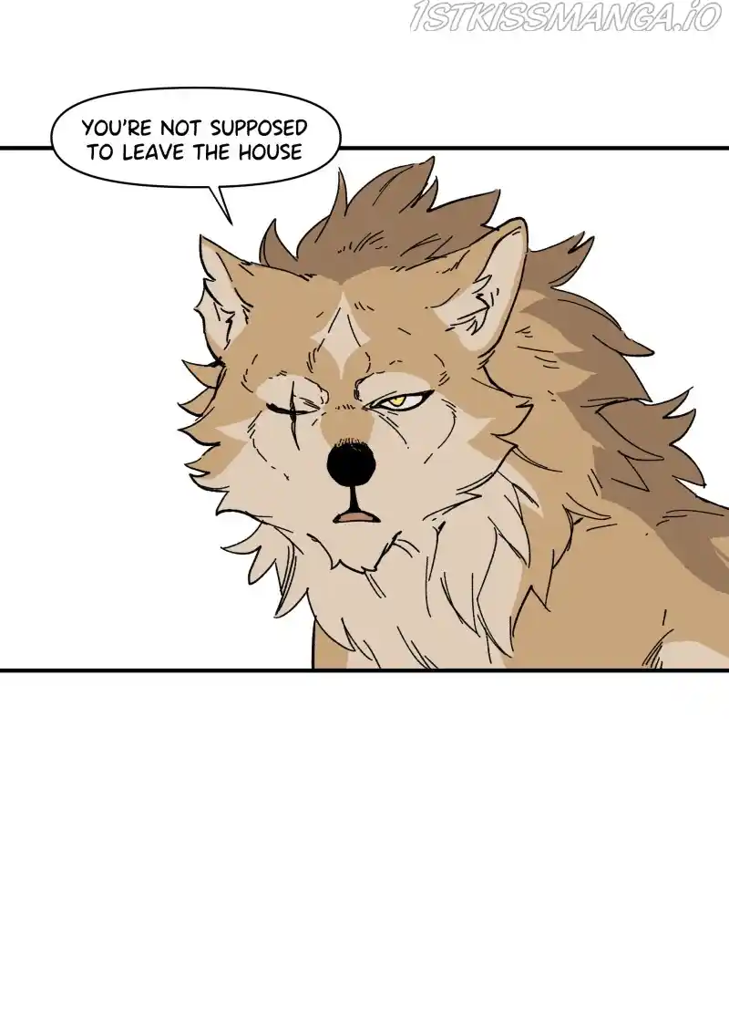 Read LUMINE Manga Online