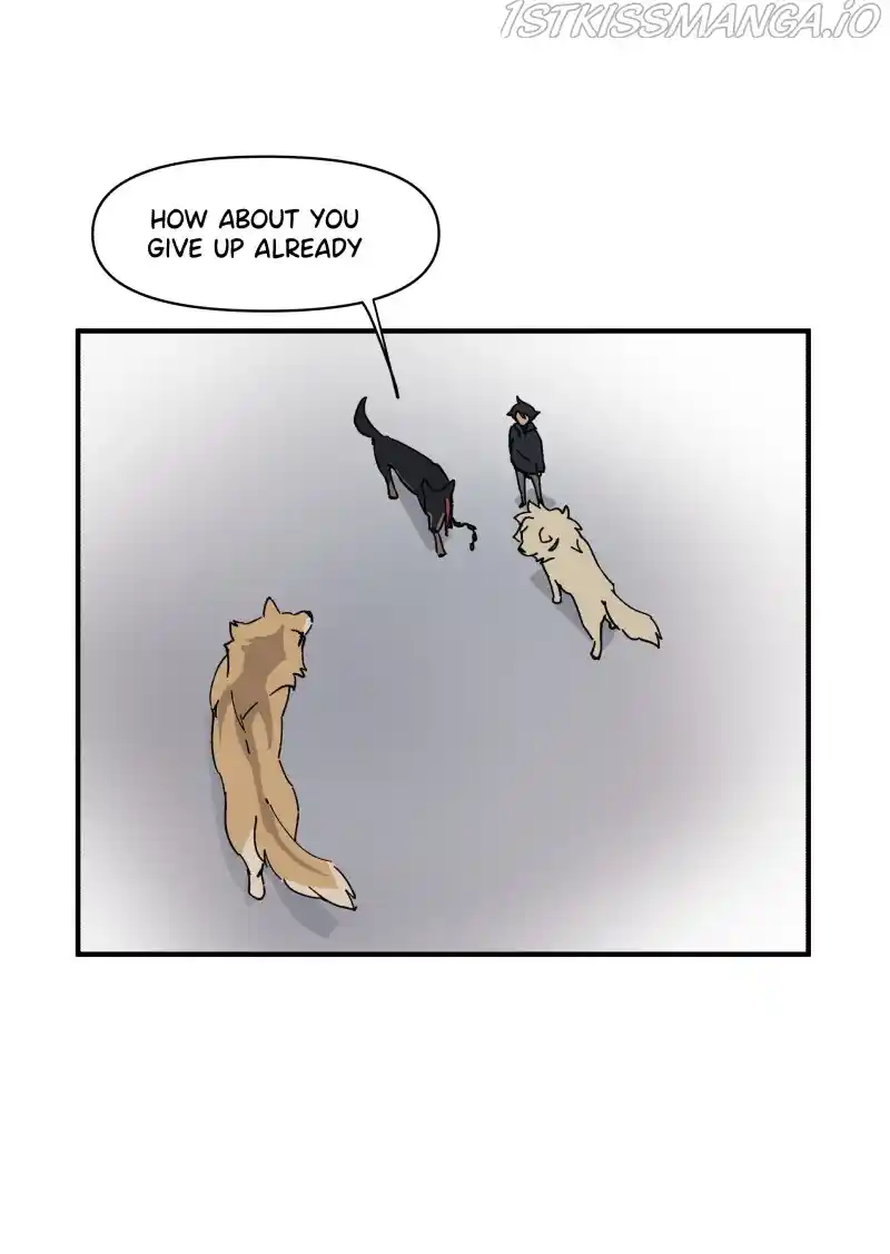 Read LUMINE Manga Online