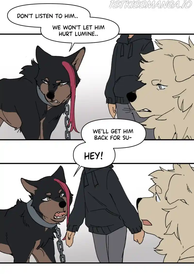 Read LUMINE Manga Online