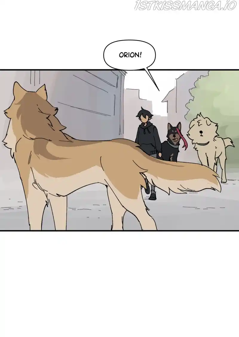 Read LUMINE Manga Online