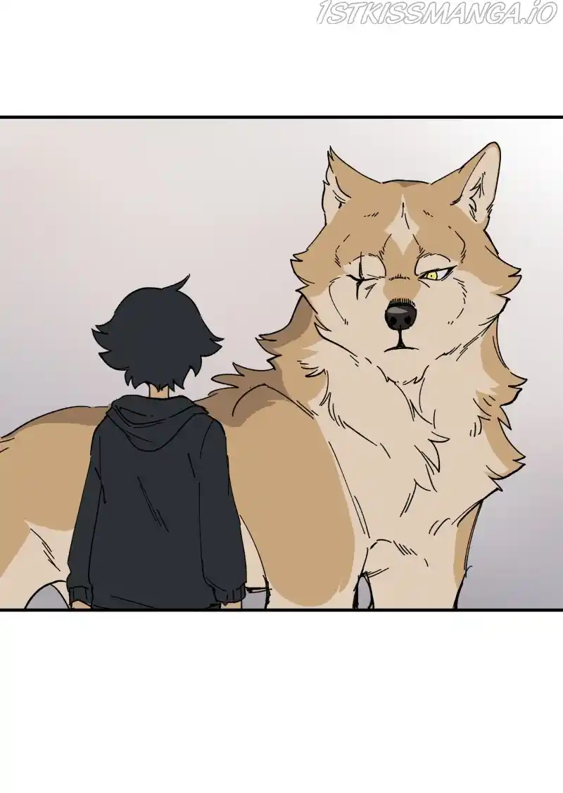 Read LUMINE Manga Online