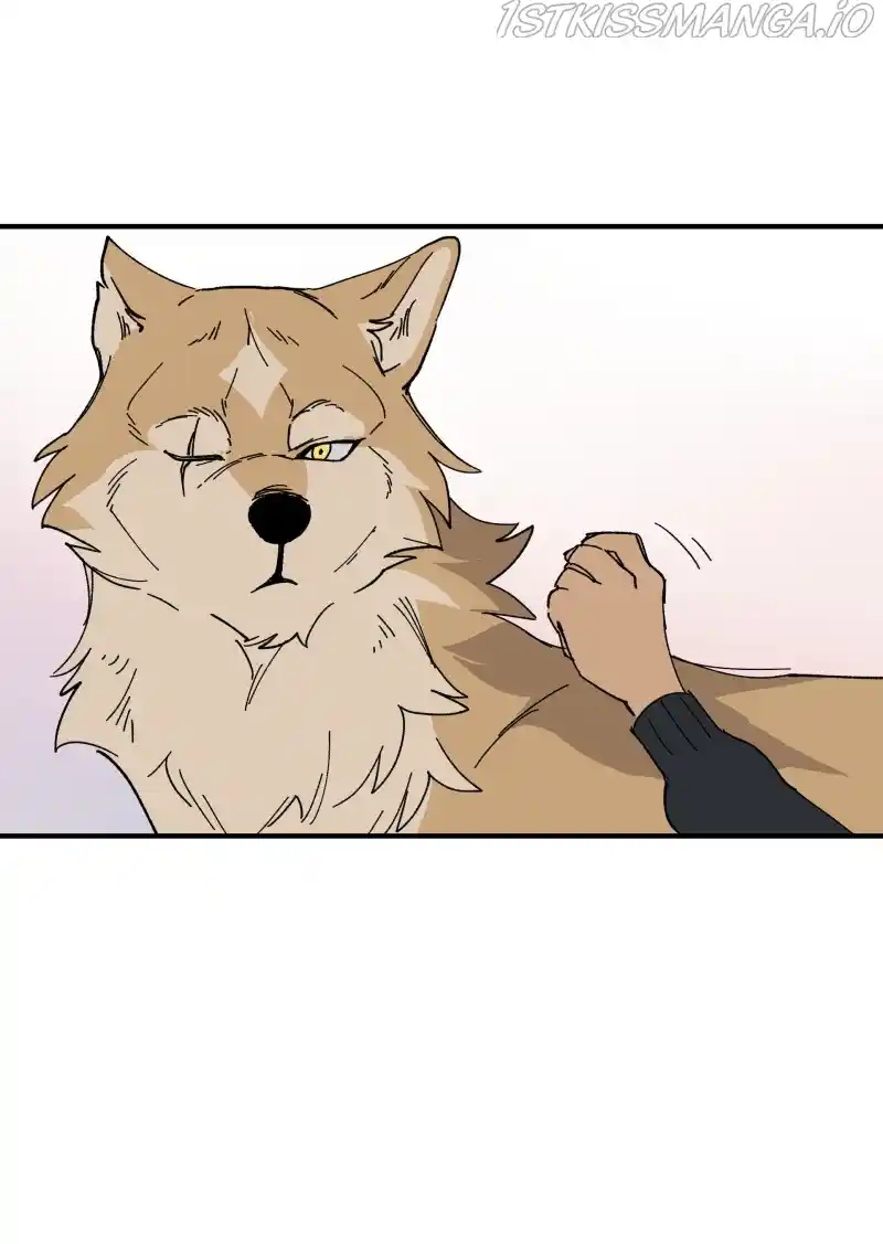 Read LUMINE Manga Online