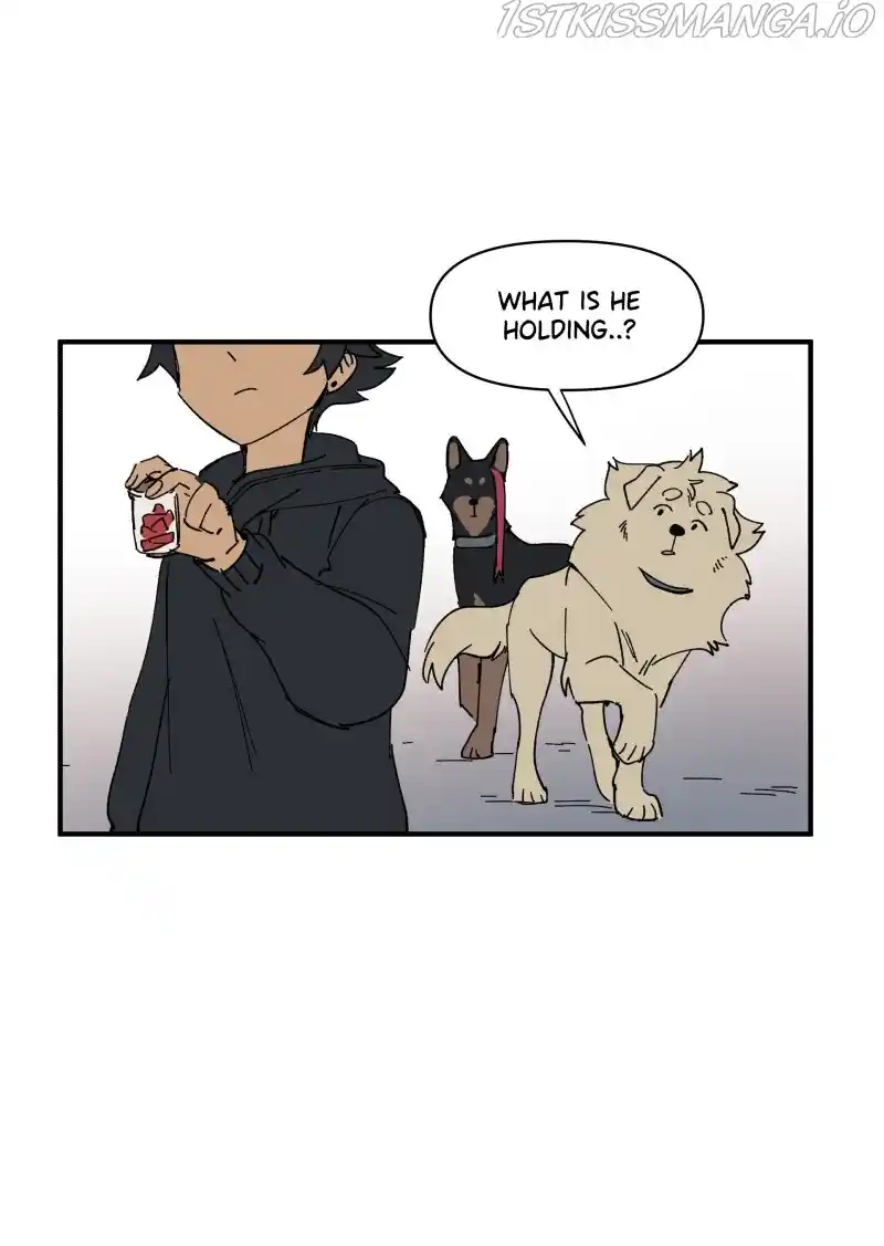 Read LUMINE Manga Online