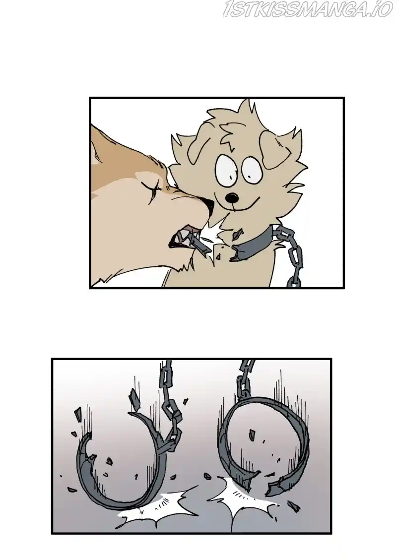 Read LUMINE Manga Online