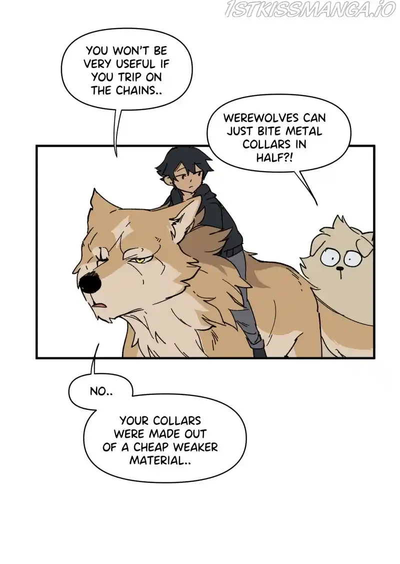 Read LUMINE Manga Online