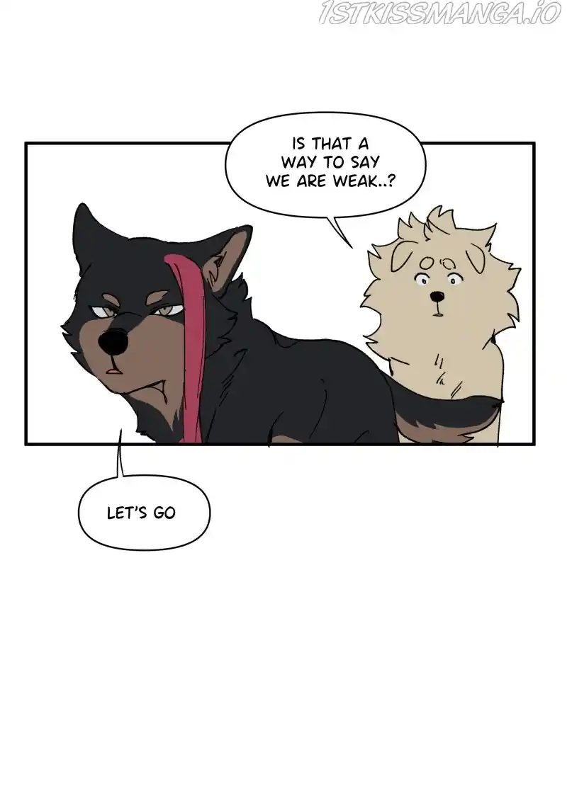 Read LUMINE Manga Online