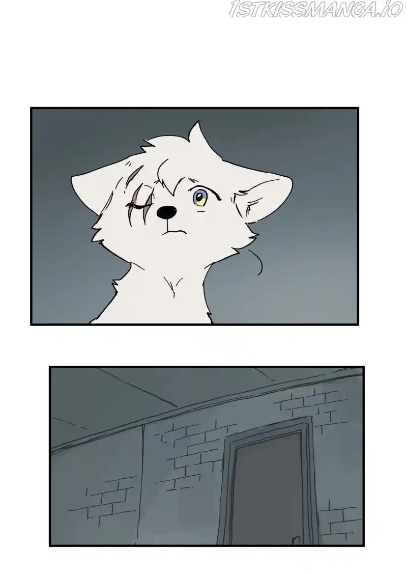 Read LUMINE Manga Online