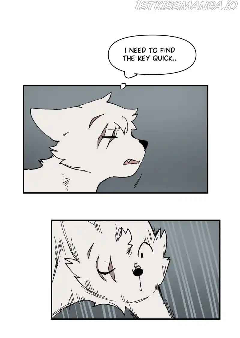 Read LUMINE Manga Online