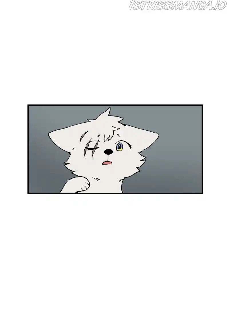 Read LUMINE Manga Online