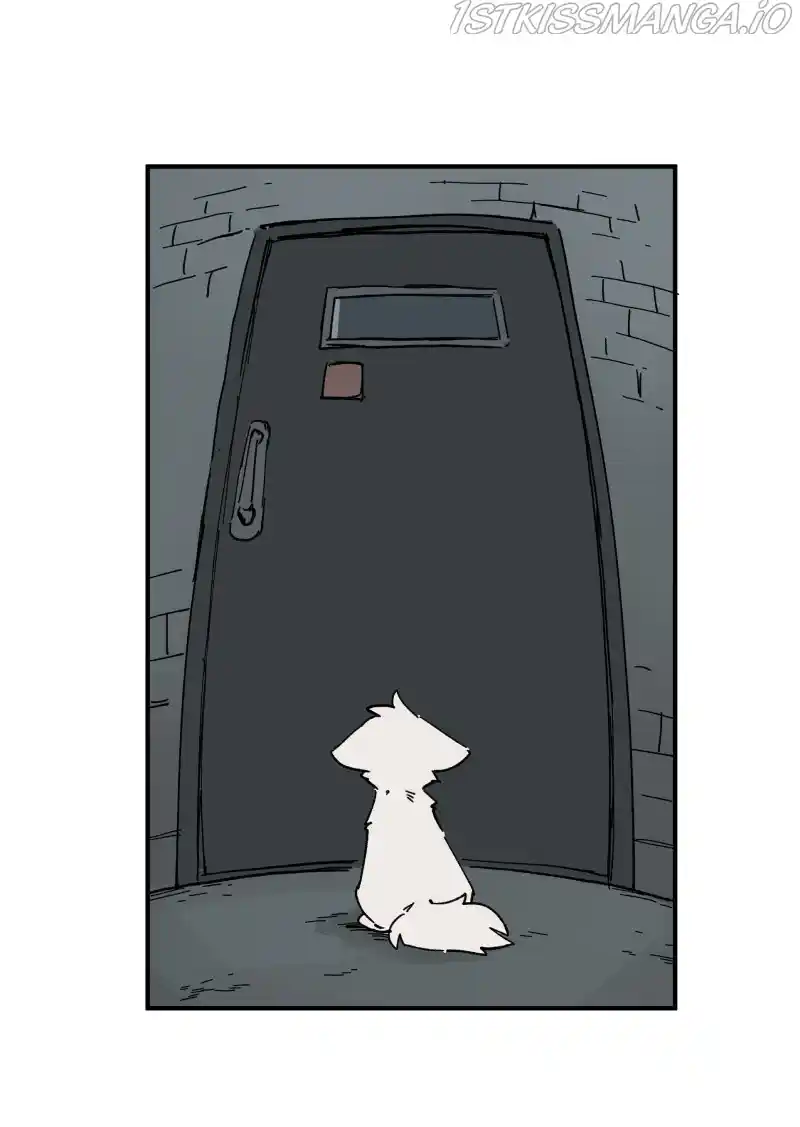 Read LUMINE Manga Online