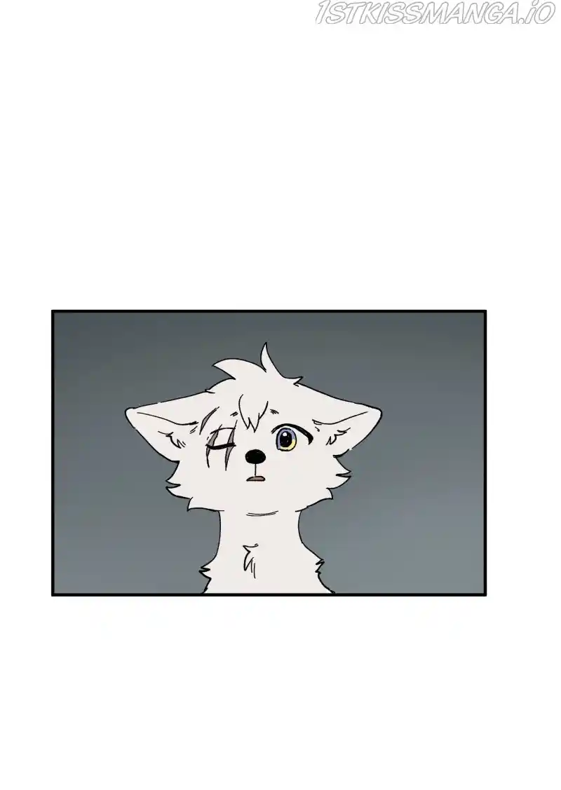 Read LUMINE Manga Online