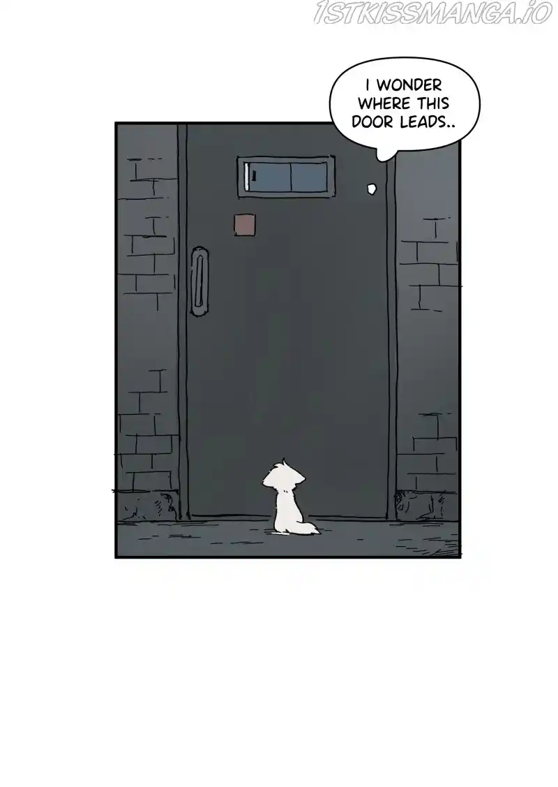 Read LUMINE Manga Online