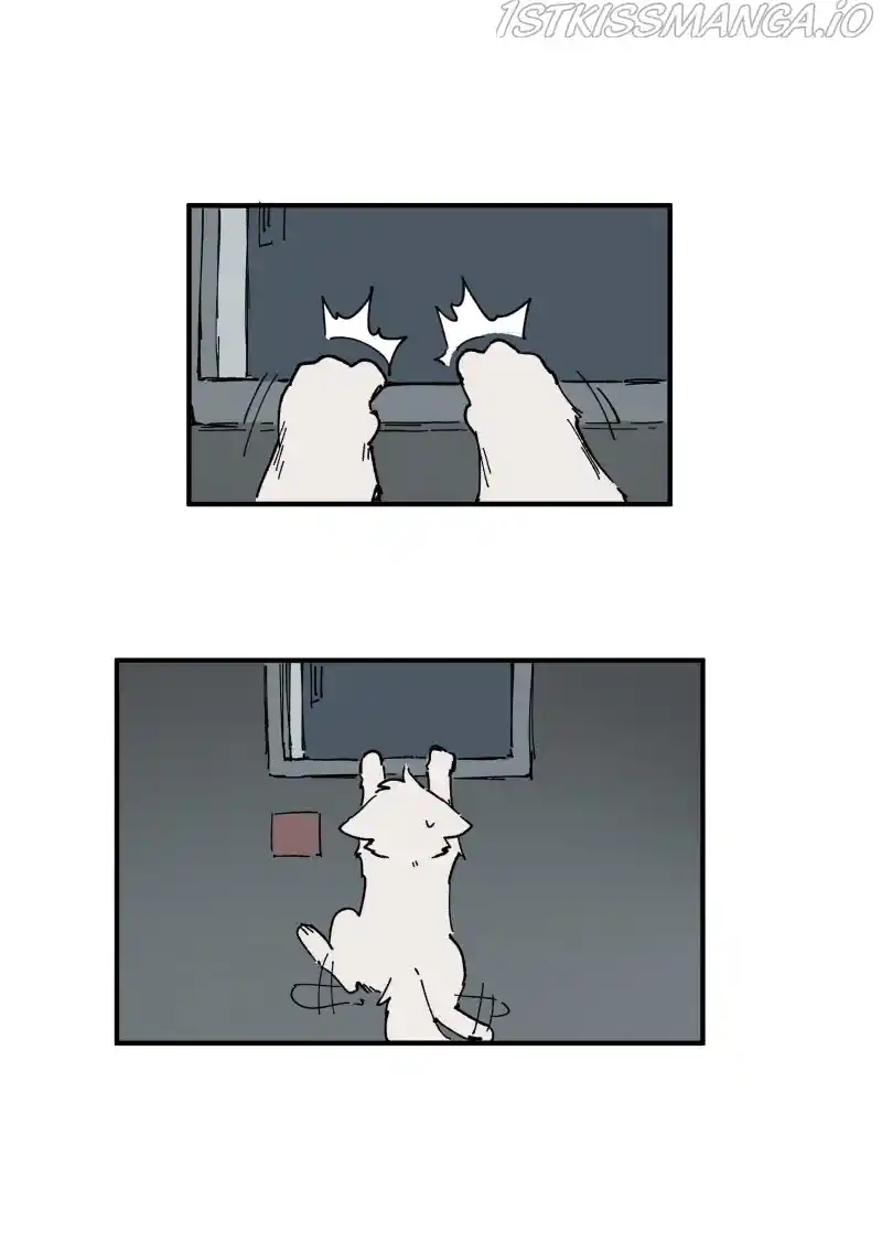 Read LUMINE Manga Online