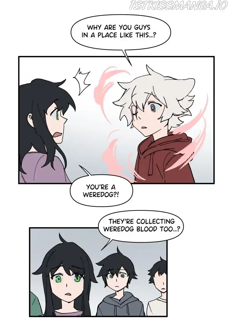 Read LUMINE Manga Online