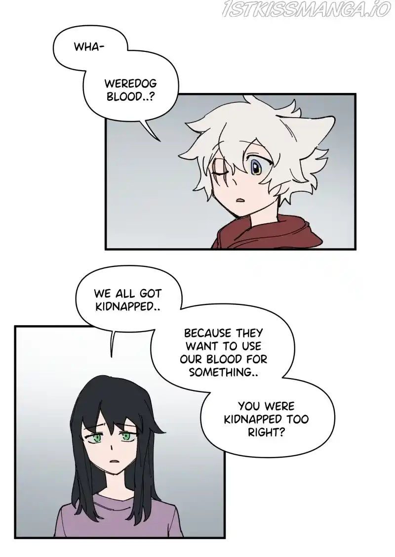 Read LUMINE Manga Online