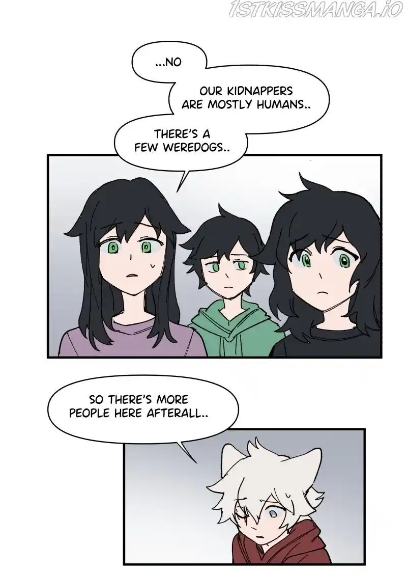 Read LUMINE Manga Online