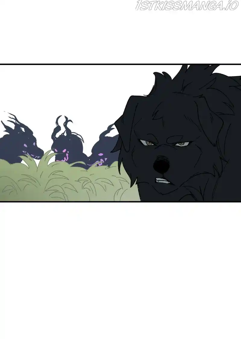 Read LUMINE Manga Online