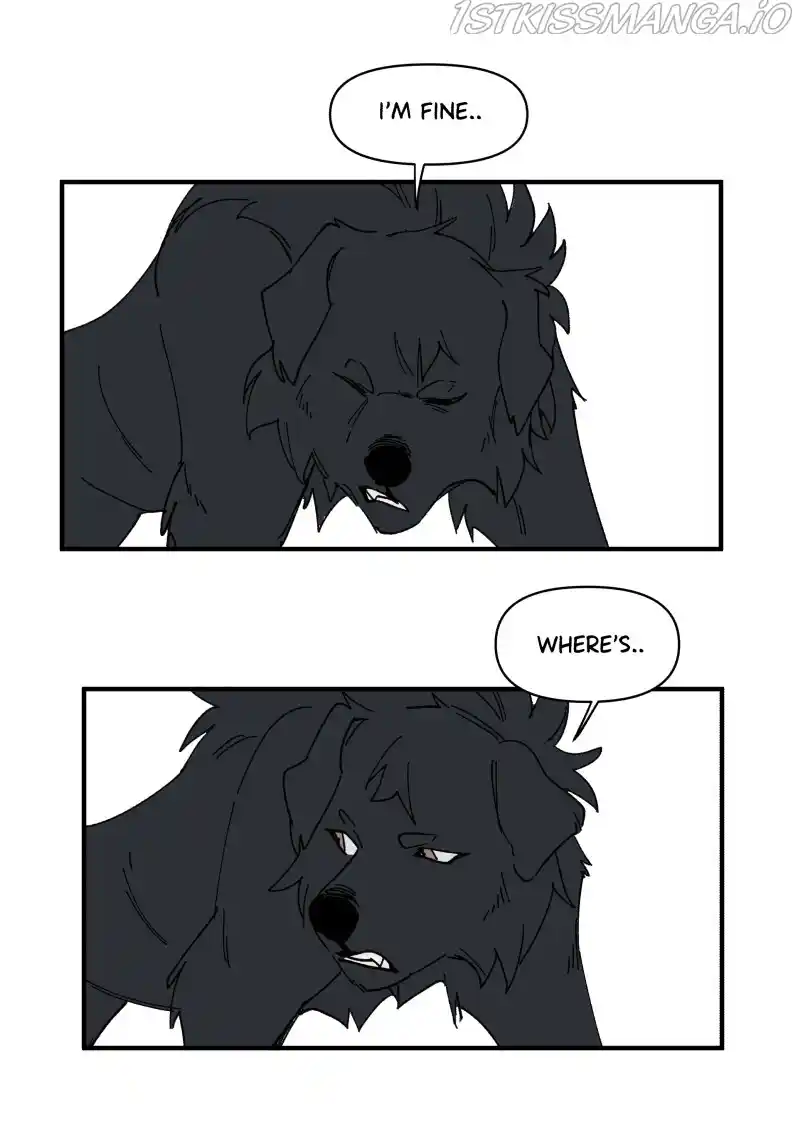 Read LUMINE Manga Online