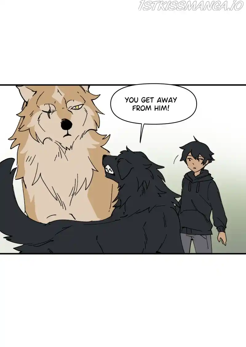 Read LUMINE Manga Online