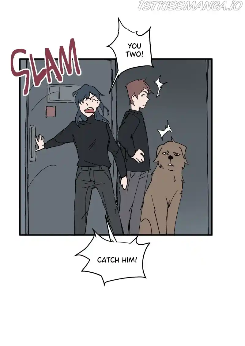 Read LUMINE Manga Online