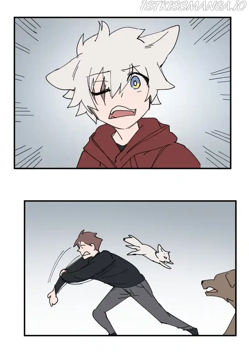 Read LUMINE Manga Online