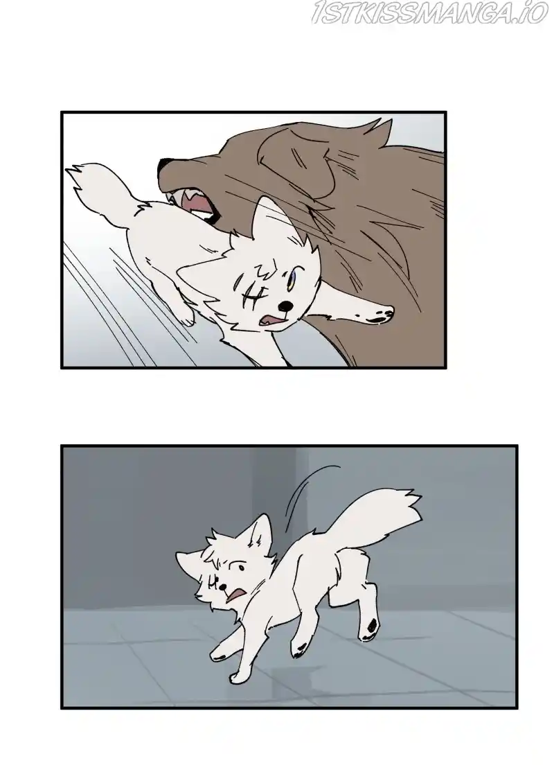 Read LUMINE Manga Online