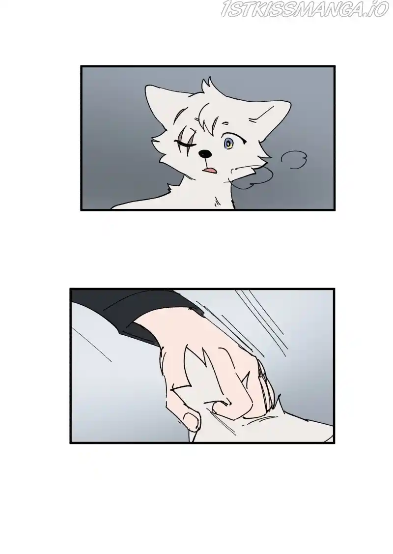 Read LUMINE Manga Online