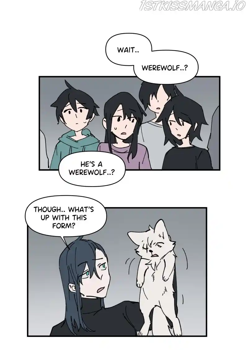 Read LUMINE Manga Online