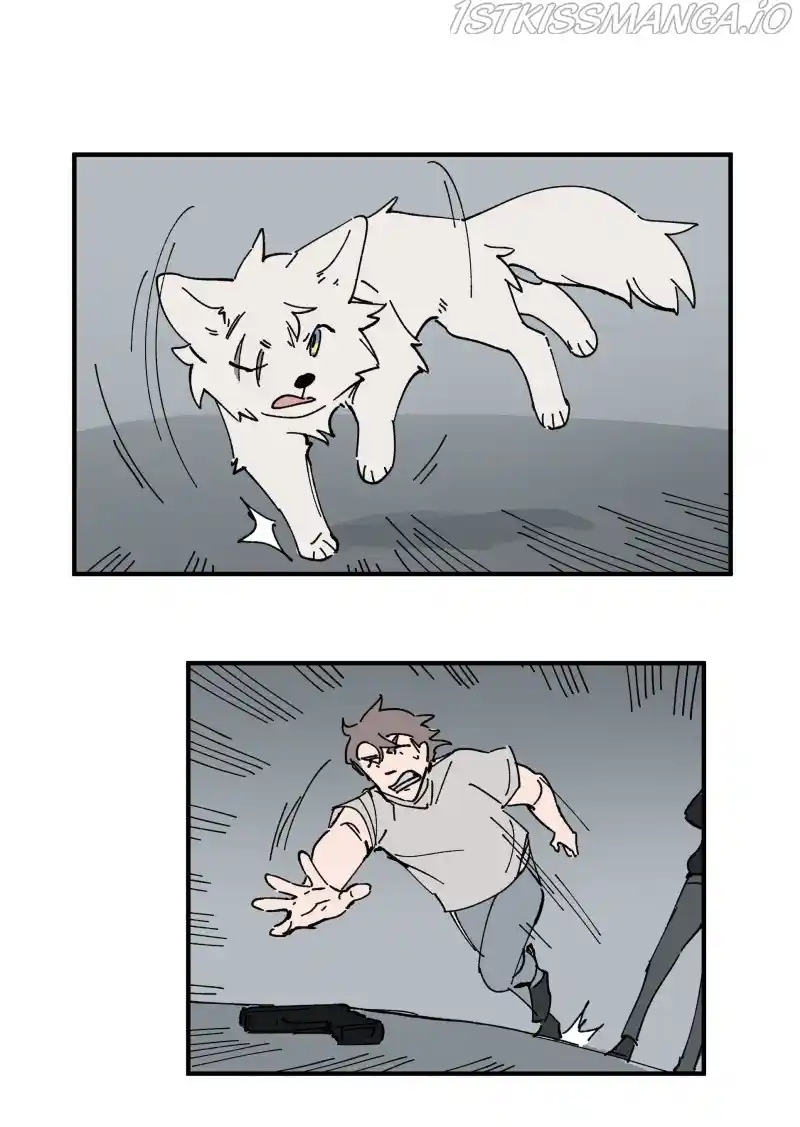 Read LUMINE Manga Online