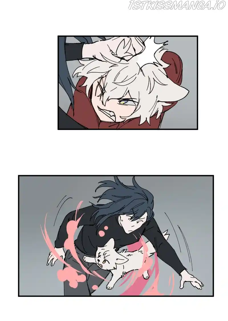 Read LUMINE Manga Online