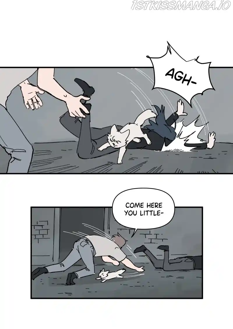 Read LUMINE Manga Online